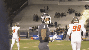 NevadaWolfPack football nevada wolf pack unr GIF