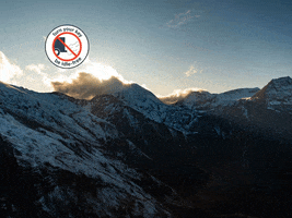 You Can Wow GIF by FranchiseONE.de