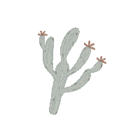bCreativebybrenna western cactus desert cacti Sticker