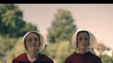 hanging handmaids tale GIF by Hornet