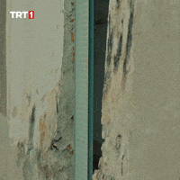 Look Sneaking GIF by TRT