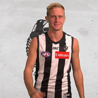 collingwoodfc pies collingwood magpies collingwoodfc GIF