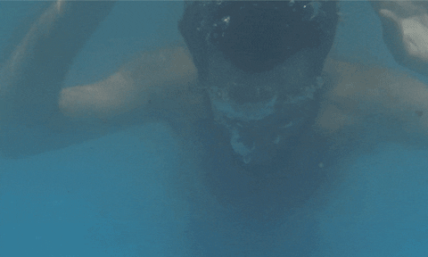 GIF by Fandor
