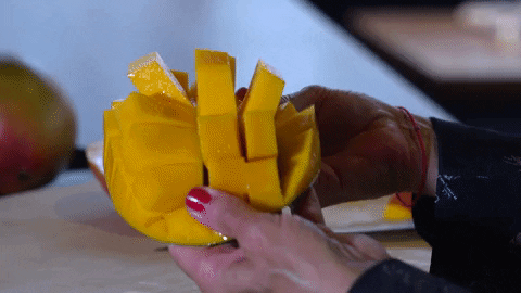 nsingh1230 giphyupload star mango abc news GIF