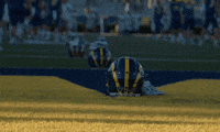 Football Team GIF by Delaware Blue Hens