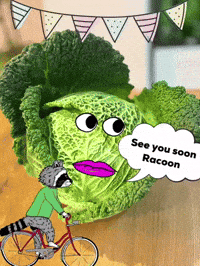 Bye Bye Racoon GIF