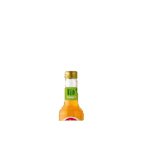 Jus Aranciata Sticker by Granaline
