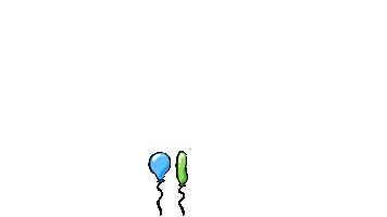 flying happy birthday Sticker by SWR Kindernetz