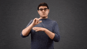 Travel Fly GIF