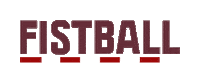 Sport Text Sticker by Faustball Traun - St.Martin