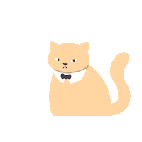 ruillu cat cats heart eyes tubbs Sticker