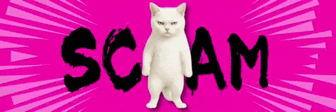 Cat Warning GIF