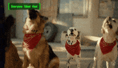 Good Boy Dog GIF by Xbox