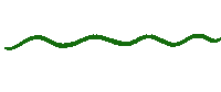 Wave Line Sticker