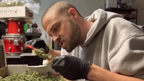 weed marijuana GIF by WeedFeed