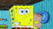 season 9 sanctuary GIF by SpongeBob SquarePants
