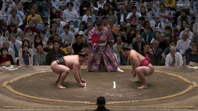 TZ85 giphyupload sumo 2023 natsu basho hoshoryu GIF
