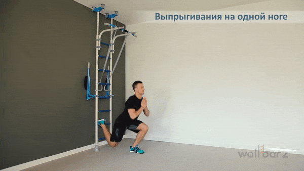 bodybuilding-and-fitness giphyupload stenka GIF