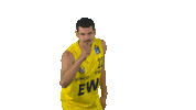 Ewe Baskets Basketball Sticker by EWE Baskets Oldenburg