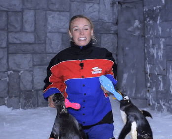 wta tennis GIF by WTA