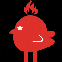 lachickshotchicken hotchicken lachicks GIF