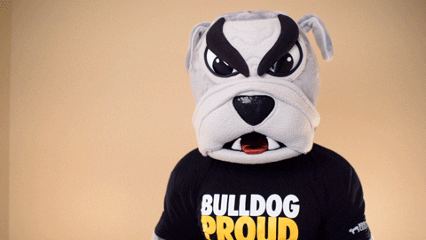 adriancollege giphyupload mascot bulldog ac GIF