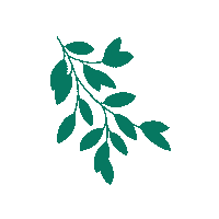 Plant Sticker by The_Taxifurmist