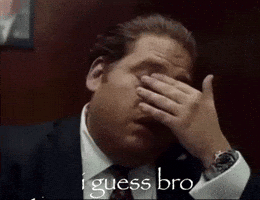 Bro Guess GIF
