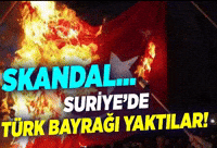 Politics Turkey GIF