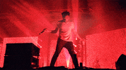 donald glover bonnaroo GIF by mtv