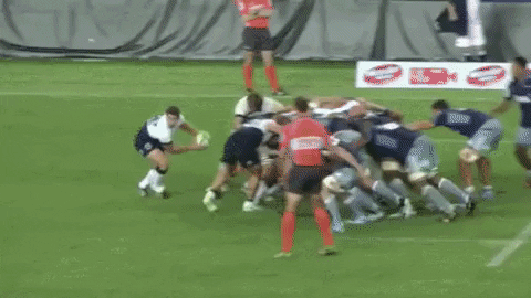 sjoerdnijland giphygifmaker scrum rugby teamwork GIF