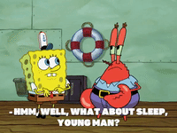 season 8 karen 2.0 GIF by SpongeBob SquarePants
