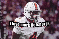 Miami Canes GIF