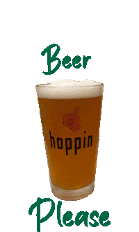 Beer Mexico Sticker by Hoppin