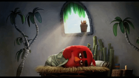 wake up sleeping GIF by Angry Birds