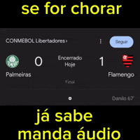 Libertadores GIF