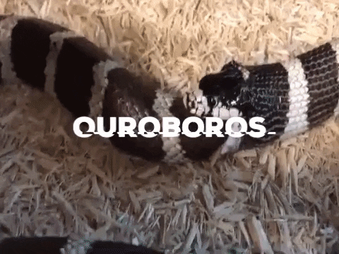Beyerstein giphygifmaker snake eat own tail ouroboros GIF