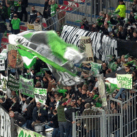 france fan GIF by AS Saint-Etienne