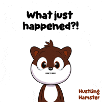 Hustling What Just Happened GIF by VeeFriends