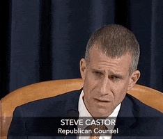 news impeachment impeachment inquiry steve castor GIF