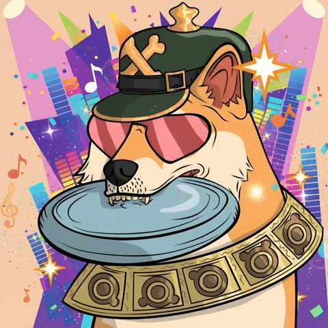 Shiba Inu Party GIF by Doge Pound