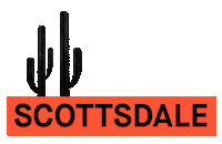 ridespin arizona cactus scooter az Sticker