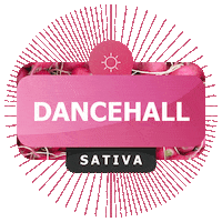 weed smoke up Sticker by Spinach Farms