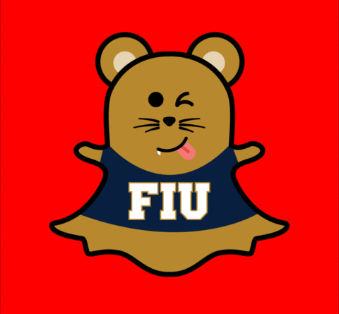 fiupanthers GIF by FIU