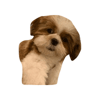 Dog Sticker by Pet Pipers
