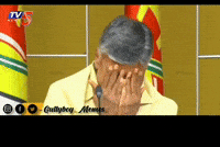 Chandra Babu Tdp GIF