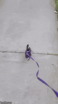 on my way to steal yo girl GIF