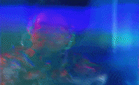 Ji Lil Tjay GIF by YXNG K.A