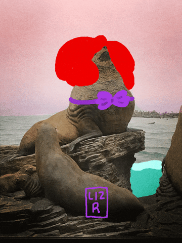 lizzyrodriguez giphyupload GIF