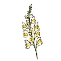 Flower Sticker by Increase Creativity